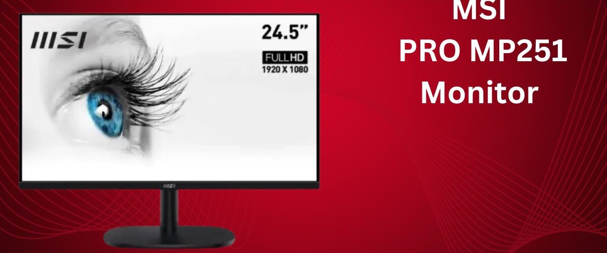 MSI PRO MP251 Monitor