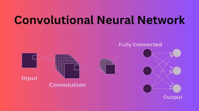 Convolutional Neural Network